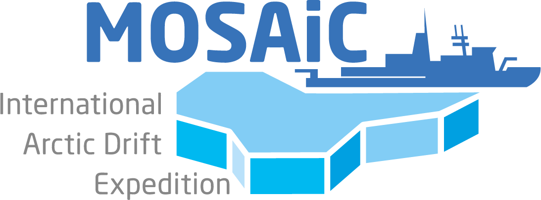 mosaic logo Auswahl 2 rgb 08