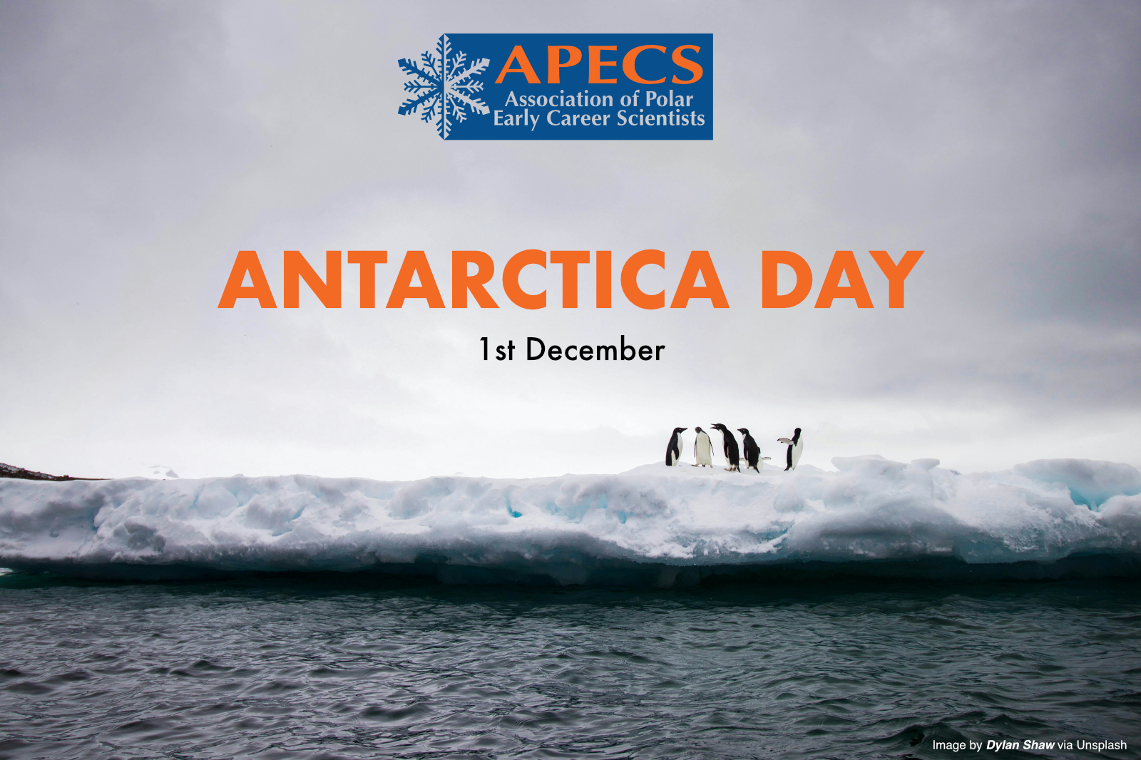 Antarctica Day wide