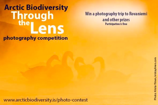 Photo Competition.jpg