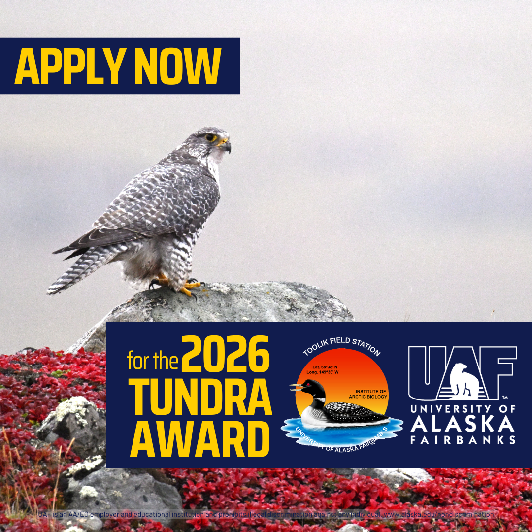 TUNDRA award apps open 2026 Haley Dunleavy